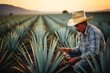 © Fotograf - A man wearing a cowboy hat is sitting in a field of blue agave. This picture can be used to depict the cowboy lifestyle or to showcase the beauty of nature.
