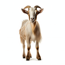 Photo Of A Cute Goat Posing On A Clean White Background