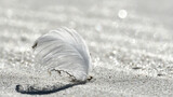 Fototapeta  - Białe piórko wetknięte w biały piasek. Krążki światła w tle.  Słonecznie.