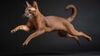 Sleek and Athletic Abyssinian Cat Captured in Motion, Showcasing Grace and Agility
