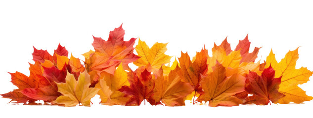 a pile of scattered autumn dry red-orange maple leaves, png file of isolated cutout object on transp