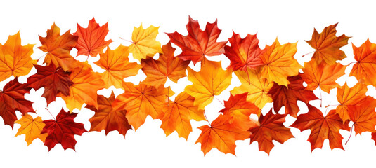 Wall Mural - strip of scattered autumn dry red-orange maple leaves, png file of isolated cutout object on transparent background.