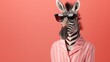 Design a fashionable zebra in chic shades, posing gracefully on a minimalist coral backdrop.