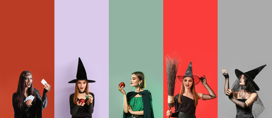 Wall Mural - Group of young witches on color background