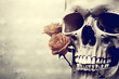 Skull and Rose: A Memento Mori Symbol of Life and Death in Gothic Art,Vector

