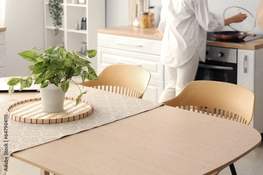 Dining table with houseplant and chairs in kitchen, closeup
