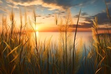 3d Rendering Little Grass Stem Close-up With Sunset Over Calm Sea .