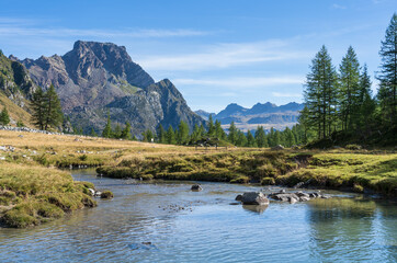 Poster - View at the beautiful river, forest and mountains near Alpe Devero, Italy.
