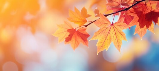 maple tree leaves fall autumn season, ai