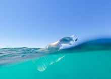 Plastic Bottle Floating In The Sea