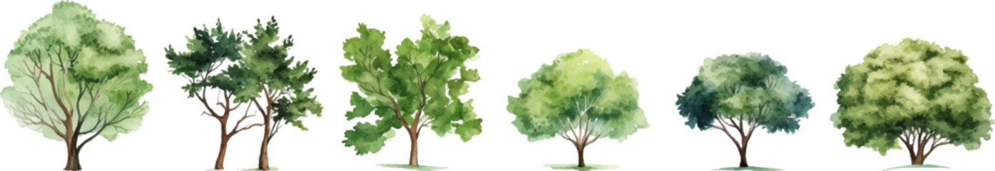 tree nature watercolor on a white background. Generative AI.