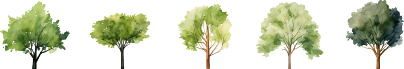 tree nature watercolor on a white background. generative ai.
