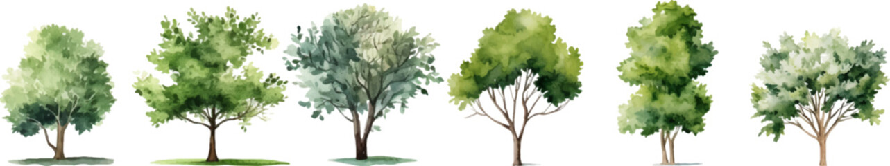 tree nature watercolor on a white background. generative ai.