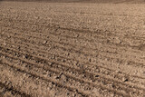 Fototapeta Kwiaty - the plowed soil during preparation for sowing agricultural plants
