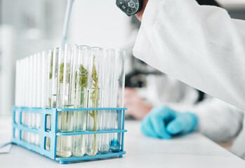 Poster - Science, research and test tube with leaves in biotech laboratory, vaccine solution or medical innovation. Healthcare, lab analytics and medicine, scientist with pipette in pharmaceutical plant study