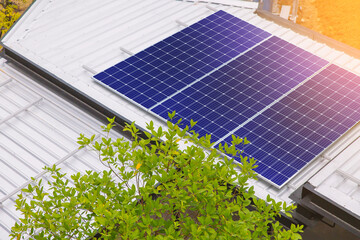 Wall Mural - installing solar panels on rooftop. green energy and good environmental concepts.