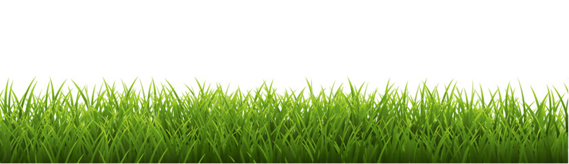 Wall Mural - green grass