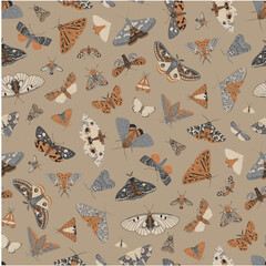 Wall Mural - Butterflies and Moths. Seamless pattern. Vector vintage illustration. Black and gold