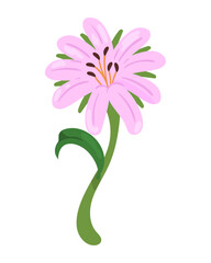 Sticker - pink Flower icon isolated