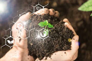 Wall Mural - plants background with chemistry structure image