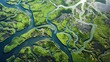 Aerial View of River Delta with Lush Green Vegetation and Winding Waterways