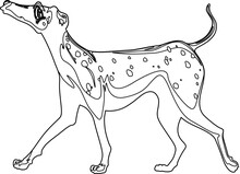 Sketch Of A Dog
