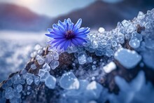 Delicate Flower In Bloom Growing On Harsh Tundra Rock Cliff, Violet Blue Petals, Ice Cold Winter Morning, Generative AI  --ar 32 --v 5 --upbeta