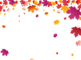 Wall Mural - autumn falling leaves background png template. leaf png illustration.