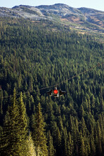 A Red Traffic Light Hung On A Cable Above A Forest; Alberta Canada