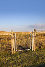 A Gate On A Fence In A Field; Saskatchewan Canada