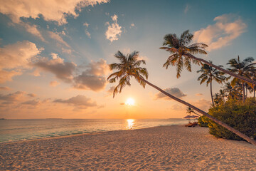 Wall Mural - best most exotic travel landscape. majestic sunset beach. coconut palm tree silhouettes, fantastic c