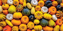 Assorted Fall Gourds And Squashes Flat Lay, Wide Banner, Background, Thanksgiving
