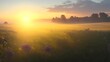 beautiful plain, sunrise in the field, sunset on a plain, grass illustration