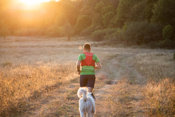 Wall Mural - trail runner running at sunset