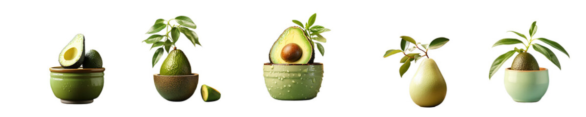 Poster - Png Set Ceramic pot holding avocado on transparent background