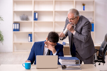 Wall Mural - Old male boss and young male employee in the office