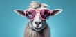 Goat in sunglass shade glasses, left position, isolated on solid pastel background. Generative AI