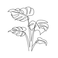 Monstera continuous Line illustration