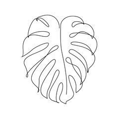 Monstera continuous Line illustration