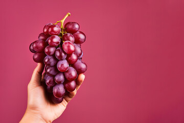 Wall Mural - Hand holding a bunch of red grapes isolated on a red background with copy space