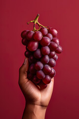 Wall Mural - Hand holding a bunch of red grapes isolated on a red background