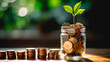 Young plant growing from coins in savings jar and stacks of coins, saving money for future, investment profit and sustainability concept.