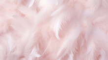 An Abstract Background With A Close-up Of Soft Pink Feathers