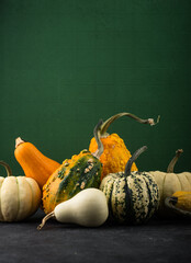 Wall Mural - Decorative pumpkin on green background.