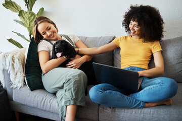 Poster - Dog, home living room and happy couple of friends bonding, connect and smile for animal love, support or care. LGBTQ, happiness or gay people, bisexual partner or lesbian women relax with pet on sofa