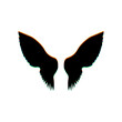 Wings sign illustration. Black Icon with vertical effect of color edge aberration at white background. Illustration.