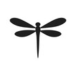Flying Dragonfly Illustration
