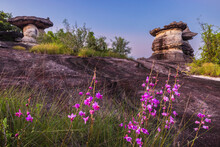 The Strange Of Rock Pillars In Phu Pha Theop National Park, Mukdahan Province, Thailand.