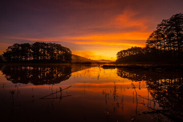 Wall Mural - Moments before dawn, the bright red clouds in the stream were golden and the clouds reflected on the stream