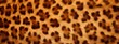 Leopard spots fur texture background.